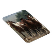 Wild Mustang Horses 7 Magneet (Rechterzijde)
