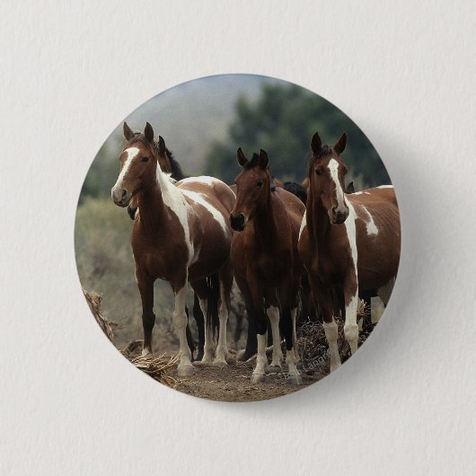 Wild Mustang Horses 7 Ronde Button 5,7 Cm (Voorkant)