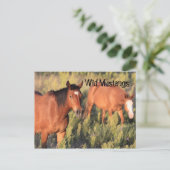 Wild Mustang Horses Briefkaart (Staand voorkant)