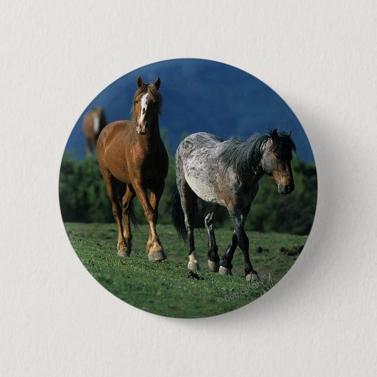 Wild Mustang Horses Ronde Button 5,7 Cm (Voorkant)