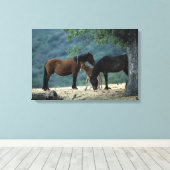 Wild Mustang Mare & Foal Canvas Afdruk (Insitu (Houten vloer))