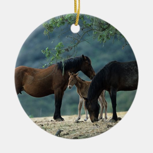 Wild Mustang Mare & Foal Keramisch Ornament (Voorkant)