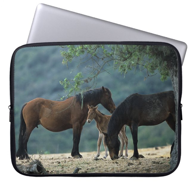 Wild Mustang Mare & Foal Laptop Sleeve (Voorkant)