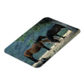 Wild Mustang Mare & Foal Magneet (Linkerzijde)