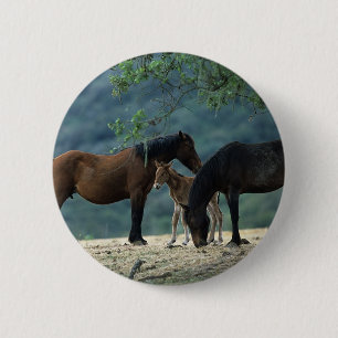 Wild Mustang Mare & Foal Ronde Button 5,7 Cm