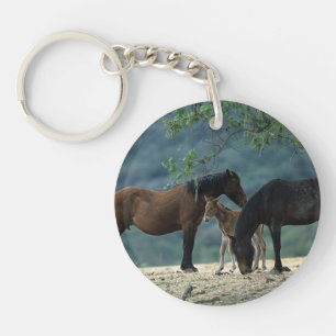 Wild Mustang Mare & Foal Sleutelhanger