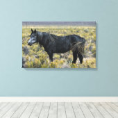 Wild Mustang Paard in de woestijn Canvas Afdruk (Insitu (Houten vloer))