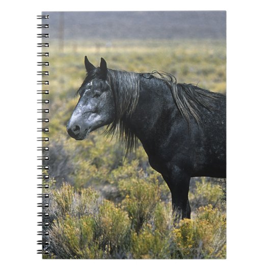 Wild Mustang Paard in de woestijn Notitieboek (Voorkant)