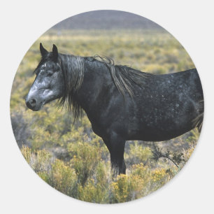 Wild Mustang Paard in de woestijn Ronde Sticker