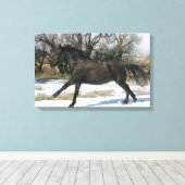 Wild Mustang Paard in sneeuw 2 Canvas Afdruk (Insitu (Houten vloer))