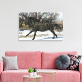Wild Mustang Paard in sneeuw 2 Canvas Afdruk (Insitu (Woonkamer))