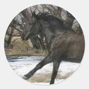 Wild Mustang Paard in sneeuw 2 Ronde Sticker