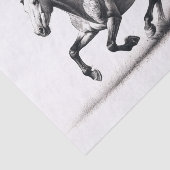 Wild Mustang Paard Zwart-wit Decoupage Tissuepapier (Detail)