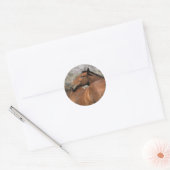 Wild Mustang Paarden die aanraken Ronde Sticker (Envelop)