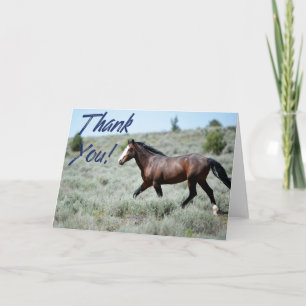 Wild Mustang Photo Carte de remerciements