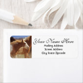 Wild Mustang Return Address Etiket (Insitu)