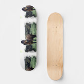 Wild Mustang Skateboard (Voorkant)