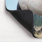 Wild Mustang Stallion Muismat (Hoek)