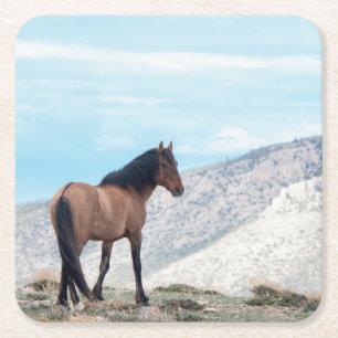 Wild Mustang Stallion Vierkante Kartonnen Onderzetter