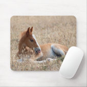 wild mustang veulen muismat (Met muis)