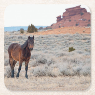 wild mustang veulen vierkante kartonnen onderzetter
