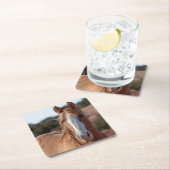 Wild Mustang Vierkante Kartonnen Onderzetter (Insitu)