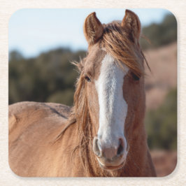 Wild Mustang Vierkante Kartonnen Onderzetter