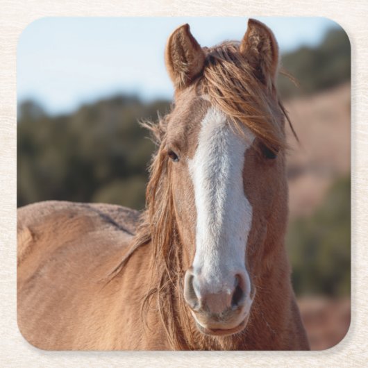 Wild Mustang Vierkante Kartonnen Onderzetter (Voorkant)