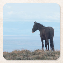 Wild Mustang Vierkante Kartonnen Onderzetter