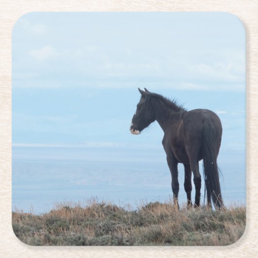 Wild Mustang Vierkante Kartonnen Onderzetter (Voorkant)