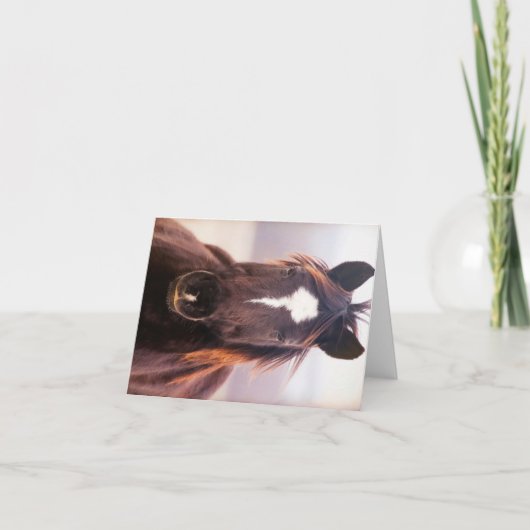 Wild Mustange Oklahoma Bedankkaart (Voorkant)