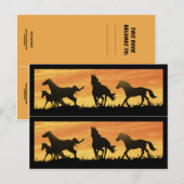Wild Mustangs Briefkaart (Voorkant / Achterkant)
