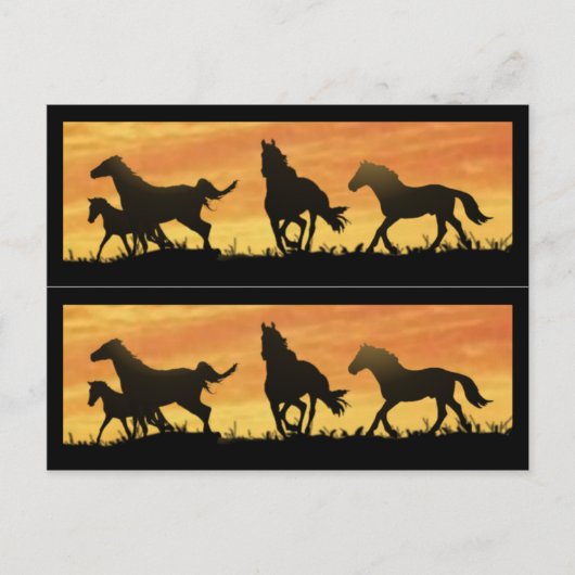 Wild Mustangs Briefkaart (Voorkant)