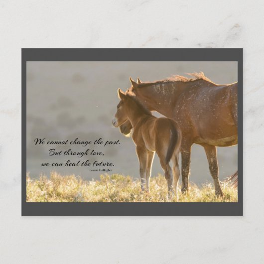 Wild Mustangs Forever Briefkaart (Voorkant)