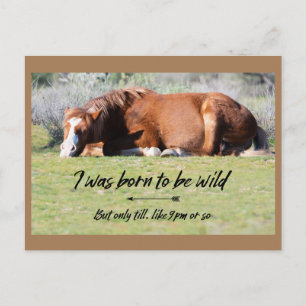 Wild Mustangs Forever Briefkaart