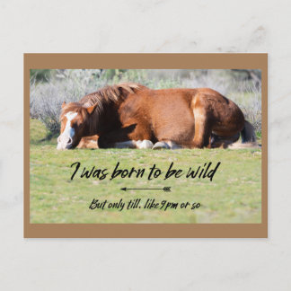 Wild Mustangs Forever Briefkaart