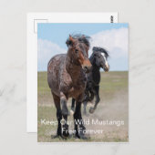 Wild Mustangs Forever Briefkaart (Voorkant / Achterkant)