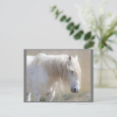 Wild Mustangs Forever Briefkaart (Staand voorkant)