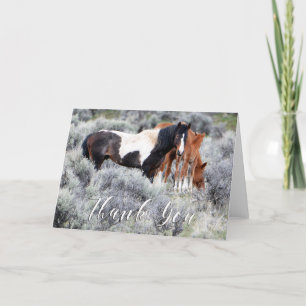 Wild Mustangs Foto Hartelijk dank Bedankkaart