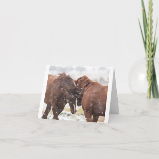 Wild Mustangs in de sneeuwkaart Kaart (Voorkant)