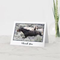 Wild Mustangs Photo Merci Cartes