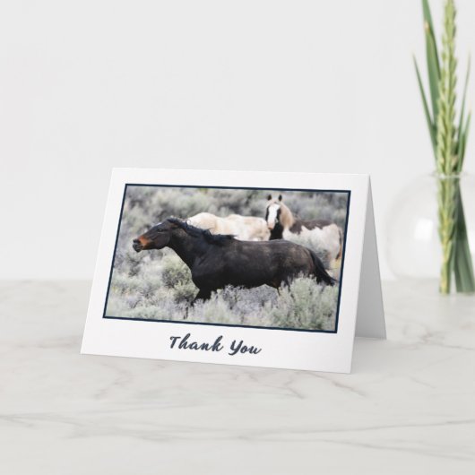 Wild Mustangs Photo Merci Cartes (Devant)