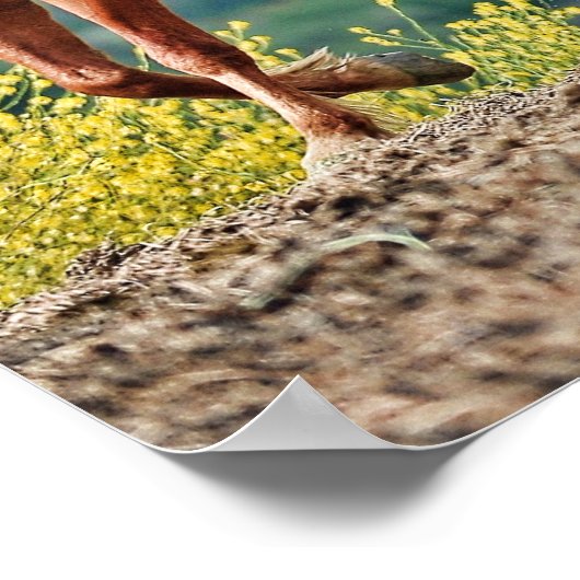 Wild Mustangs Poster (Hoek)