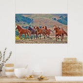Wild Mustangs Poster (Keuken)
