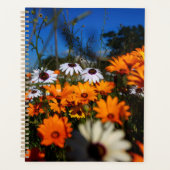 Wild Namaqualand fleurs florales (Devant)