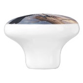 Wild Nature Bird Crow-Raven Keramische Knop (Zijkant)