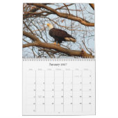 Wild Natuur-Bald Eagle Foto Kalender (Jan 2027)