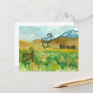 Wild Nevada Bighorn schapen woestijn landschap Briefkaart