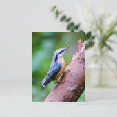 Wild Nuthatch in de Bossen - Postkaart (Staand voorkant)