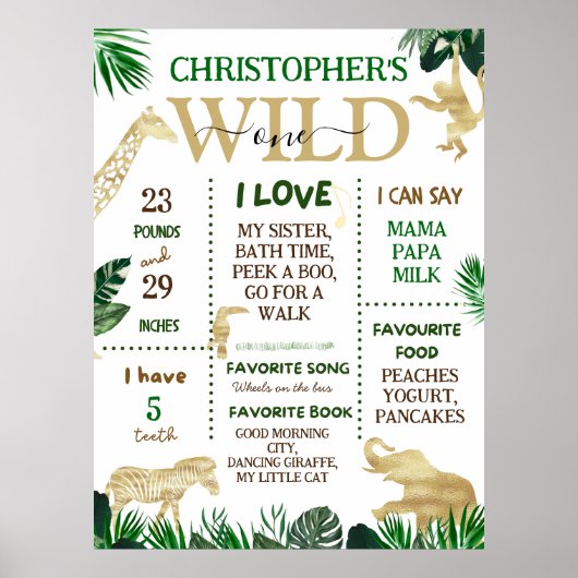 Wild One Safari Theme Birthday Party Poster (Voorkant)